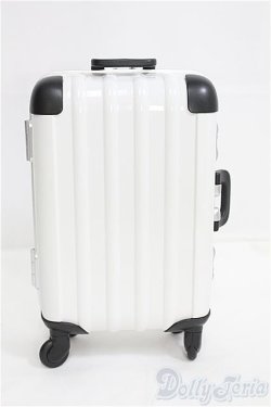 画像1: DD/トラベルカート I-25-08-24-013-KD-ZI