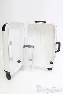 画像2: DD/トラベルカート I-25-08-24-013-KD-ZI