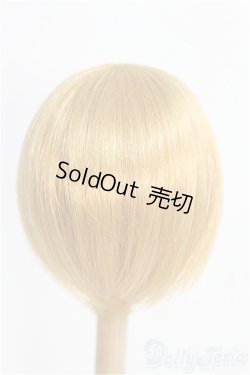 画像2: 9-10inch/ウィッグ I-25-08-24-086-KD-ZI