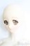 画像3: DDS/マリコ先生 I-25-08-24-303-KD-ZI