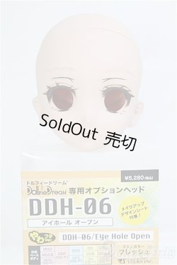 画像1: DDH-06/カスタムヘッド　フレッシュ/BJD　球体関節人形 I-25-08-31-174-KD-ZI