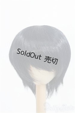 画像1: 9inch/ウィッグ：DOLLCE製/インチ　BJD　MJD　ドール用 I-25-08-31-126-KD-ZI