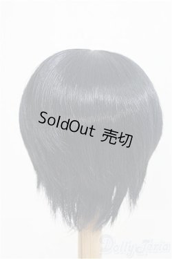 画像2: 9inch/ウィッグ：DOLLCE製/インチ　BJD　MJD　ドール用 I-25-08-31-126-KD-ZI
