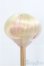 画像1: 8-9inch/ウィッグ/インチ　BJD　MJD　ドール用 I-25-08-31-108-KD-ZI (1)