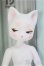画像1: PIPOS DOLL/Mariko Cat　マリコキャット I-25-08-31-011-KD-ZI (1)