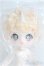 画像2: PENNY'S BOX/ANTU(アンティーユ)：三周年紀念 I-25-08-31-004-KD-ZI (2)