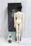 画像6: SWITCH/[HWAYEON]:Rosy White/BJD　球体関節人形 I-25-10-19-310-KD-ZI