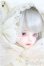 画像3: 【DOLK×MELODY.C×MYOU DOLL】白猫Zuzana ver. Limited - Special Collaboration Edition I-25-08-31-002-KD-ZI
