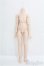 画像1: MDD/ベースボディIII　フレッシュ/BJD　球体関節人形 I-25-08-31-147-KD-ZI (1)