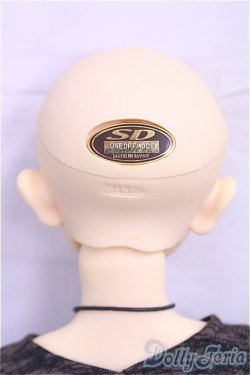 画像5: SD13男の子/ワンオフセシルmayura様/BJD　球体関節人形 I-25-11-02-303-KD-ZI