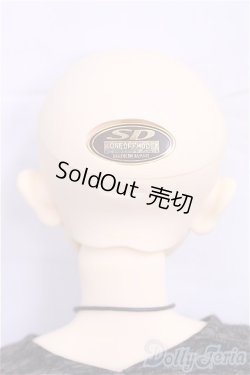 画像5: SD13男の子/ワンオフセシルmayura様/BJD　球体関節人形 I-25-11-02-303-KD-ZI