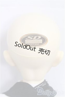 画像5: SD男の子/スタンダードモデル　マーク/BJD　球体関節人形 I-25-09-28-202-KD-ZI