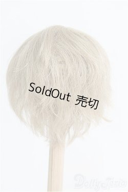 画像2: 8-9inch/ウィッグ/インチ　BJD　MJD　ドール用 I-25-08-31-203-KD-ZI