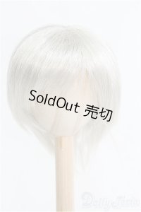 8-9inch/ウィッグ/インチ　BJD　MJD　ドール用 I-25-08-31-205-KD-ZI