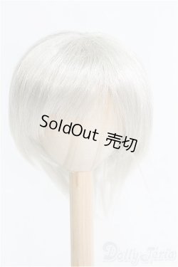 画像1: 8-9inch/ウィッグ/インチ　BJD　MJD　ドール用 I-25-08-31-205-KD-ZI