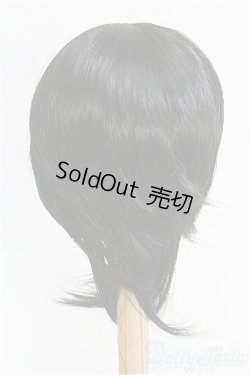 画像2: 8-9inch/ウィッグ/インチ　BJD　MJD　ドール用 I-25-08-31-207-KD-ZI
