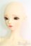 画像2: Fairy land/1/3/miwa/BJD　球体関節人形 I-25-08-31-249-KD-ZI (2)