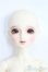 画像1: LITTLEMONICA/1/4/Elena/BJD　球体関節人形 I-25-08-31-248-KD-ZI (1)