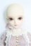 画像2: MYOUDOLL/1/4/Delia/BJD　球体関節人形 I-25-08-31-245-KD-ZI (2)