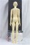 画像5: BJD CROBI/M-line　Ys B/BJD　球体関節人形 I-25-10-12-004-KD-ZI