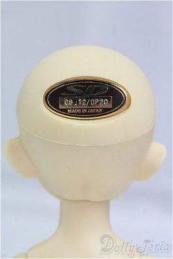 画像4: 幼SD/シン/BJD　球体関節人形 I-25-09-14-039-KD-ZI