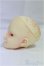 画像3: SD/教室Aヘッド/BJD　球体関節人形 I-25-09-14-038-KD-ZI (3)