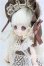 画像2: DOLLCE/ミニスウィーツドール/スマイルシナモン I-25-09-07-054-KD-ZI (2)