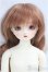 画像2: SDM女の子/ここ〜10周年記念Ver.〜 I-25-09-07-102-KD-ZI (2)