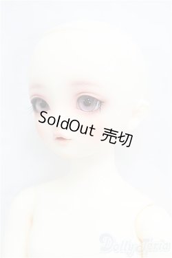 画像4: SDM女の子/ここ〜10周年記念Ver.〜 I-25-09-07-102-KD-ZI