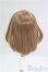 画像2: 5inch/ウィッグ　DOLLCE/インチ　BJD　MJD　ドール用 I-25-09-14-012-KD-ZI (2)