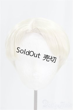 画像1: 8-9inch/ウィッグ/インチ BJD MJD ドール用 I-25-09-14-058-KD-ZI