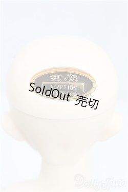 画像5: SDM女の子/F-61 アダプションモデル I-25-09-14-151-KD-ZI