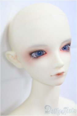 画像4: SDGｒBOY/フルチョイス：SD-F-49 I-25-09-21-002-KD-ZI