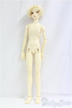 画像6: SDGｒBOY/フルチョイス：SD-F-49 I-25-09-21-002-KD-ZI