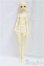 画像5: MyouDoll/1/4/Zuzana I-25-09-21-233-KD-ZI