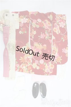 画像2: SDM＆MSD/OF:着物セット I-25-09-21-214-KD-ZI