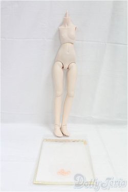 画像3: MDD/ベースボディ(DD-f3)セミホワイト I-25-09-21-286-KD-ZI