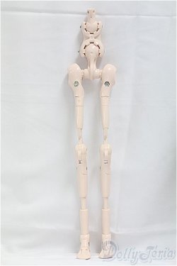 画像1: MDD/内部フレーム　セミホワイト I-25-09-28-112-KD-ZI