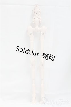 画像1: MDD/内部フレーム　セミホワイト I-25-09-28-112-KD-ZI