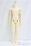 画像1: SPIRIT DOLL/Grace male body (Jointed torso)　65cmボディ I-25-09-28-154-KD-ZI (1)