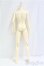 画像2: SPIRIT DOLL/Grace male body (Jointed torso)　65cmボディ I-25-09-28-154-KD-ZI (2)