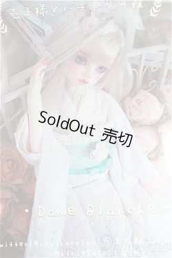 画像4: SD/OF:衣装セット　壱子様×ハチドリの森様コラボ I-25-09-28-184-KD-ZI