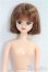 画像1: ジェニー/ユリーシア　リカちゃんキャッスル I-25-09-28-076-KD-ZI (1)