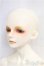 画像3: LUTS/Senior65 Delf DIEZ Limited カスタム I-25-09-28-151-KD-ZI