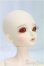 画像2: MYOUDOLL/1/4/Delia - Tomboy Style Limited -/BJD　球体関節人形 I-25-10-12-011-KD-ZI (2)