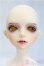 画像1: Dream Valley/Silence/BJD　球体関節人形 I-25-10-12-014-KD-ZI (1)