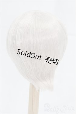 画像2: 9inch/ウィッグ/インチ　BJD　MJD　ドール用 I-25-10-05-291-KD-ZI