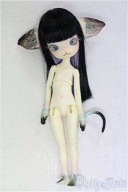 画像4: DOLK×DOLL ZONE/Mini Kitty Twinkle Star/BJD　球体関節人形 I-25-10-12-145-KD-ZI
