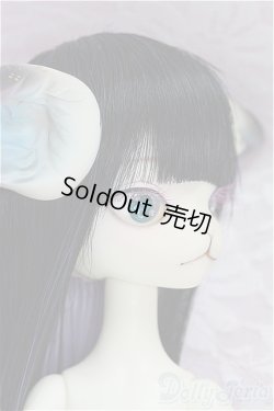 画像2: 【DOLK×DOLL ZONE】Miss Kitty Twinkle Star/BJD　球体関節人形 I-25-10-12-146-KD-ZI