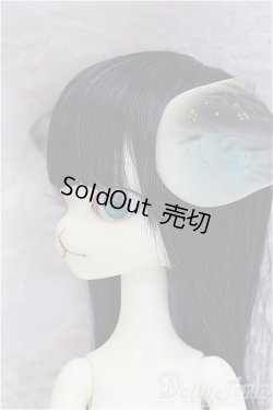 画像3: 【DOLK×DOLL ZONE】Miss Kitty Twinkle Star/BJD　球体関節人形 I-25-10-12-146-KD-ZI